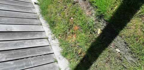 Water Leak, a report photo
