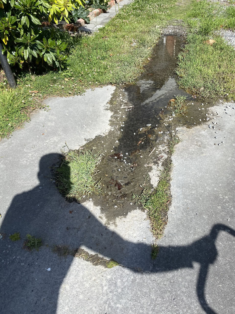 The photograph attached to this water leak report
