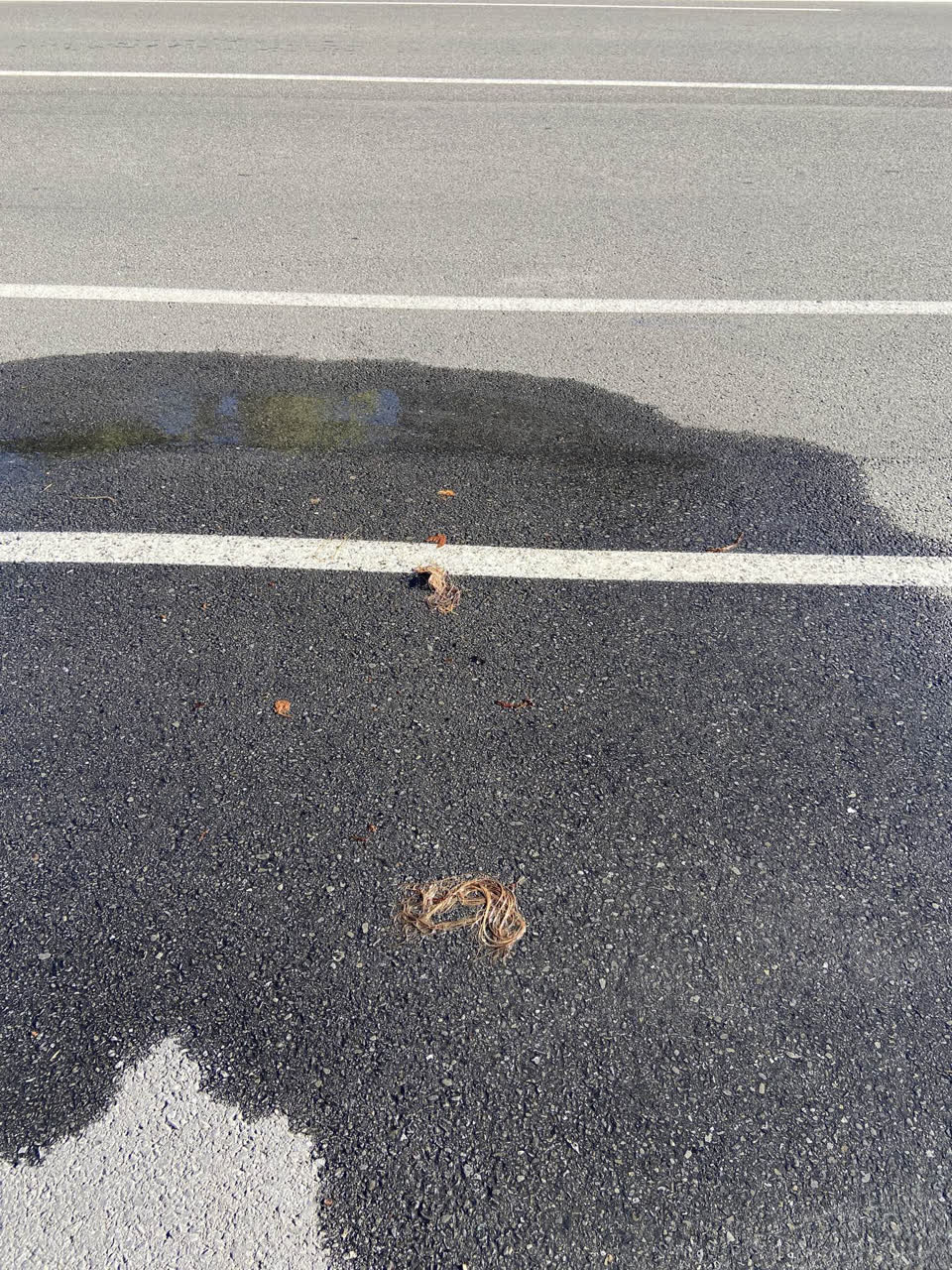 The photograph attached to this water leak report