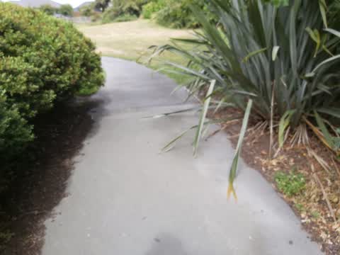 Parks, a report photo