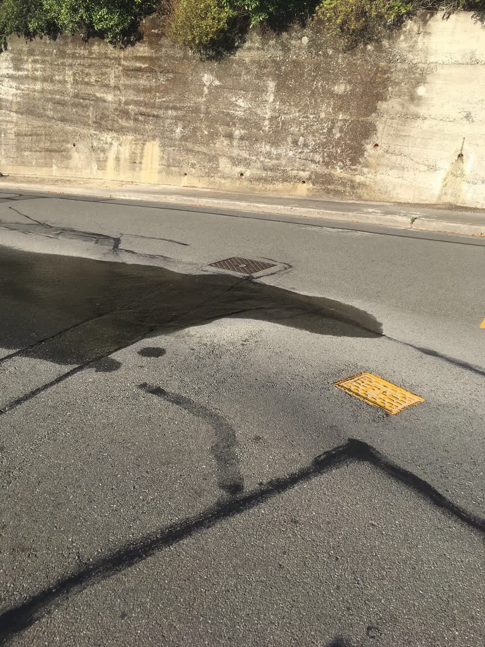 The photograph attached to this water leak report