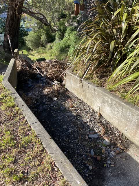 Wastewater/Stormwater, a report photo