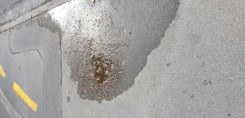 The photograph attached to this water leak report