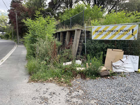 Rubbish/Recycling, a report photo