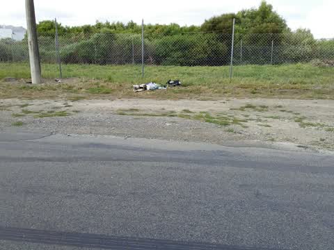 Rubbish/Recycling, a report photo