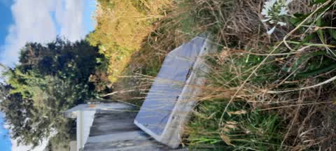 Rubbish/Recycling — a report photo