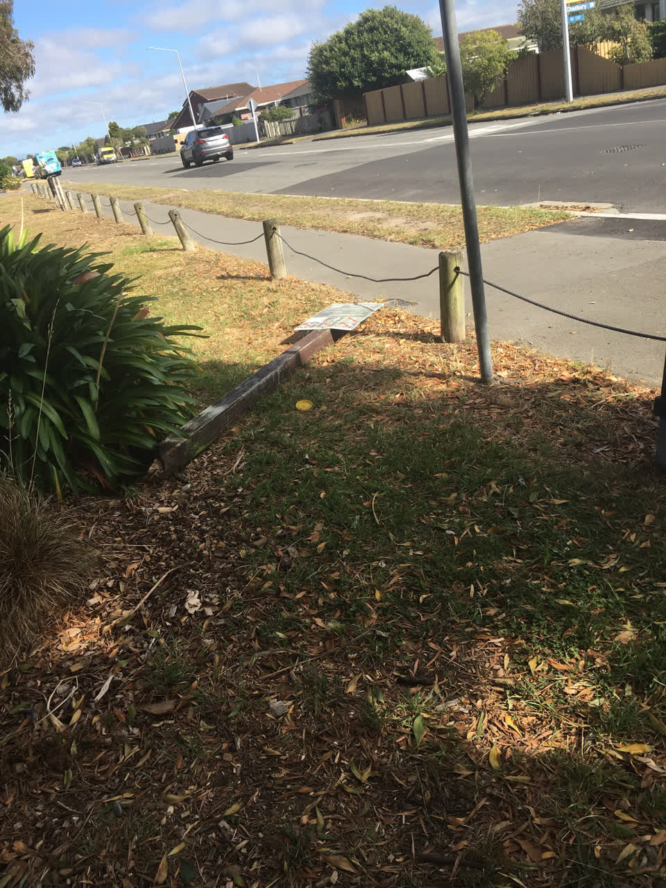 The photograph attached to this parks report
