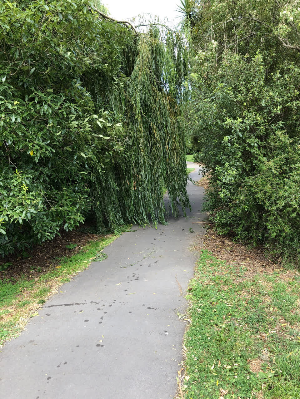 The photograph attached to this parks report