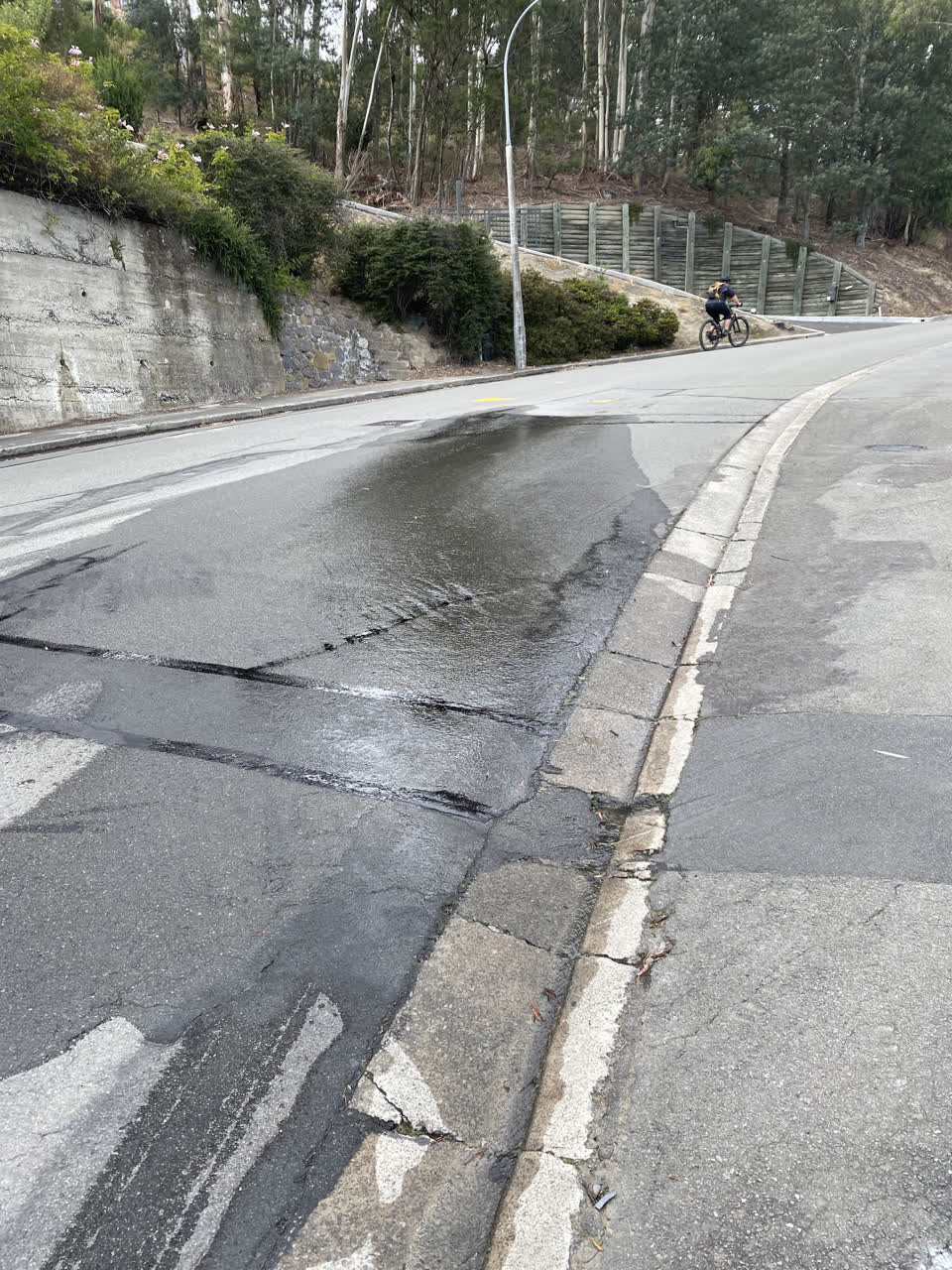 The photograph attached to this water leak report