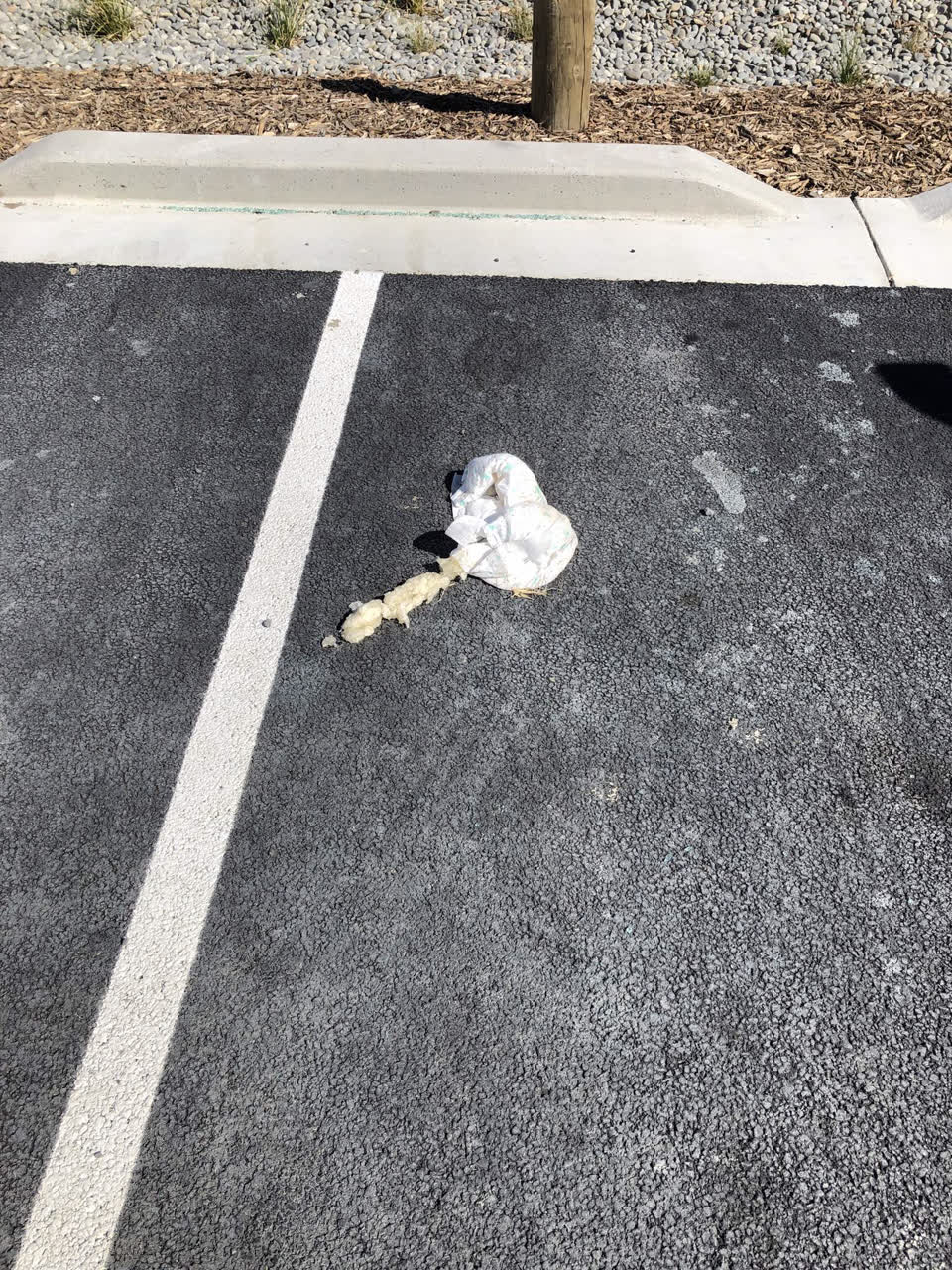 The photograph attached to this parks report