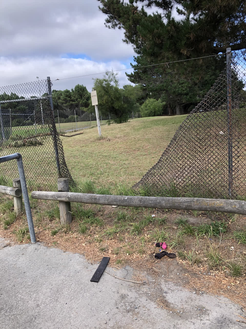 The photograph attached to this parks report