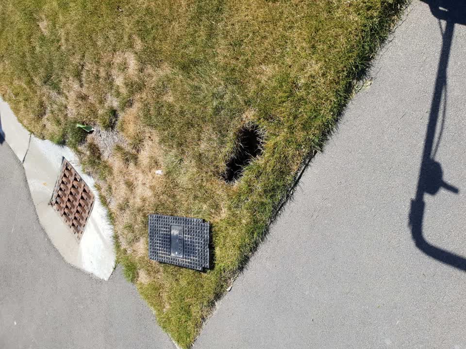 The photograph attached to this water supply report