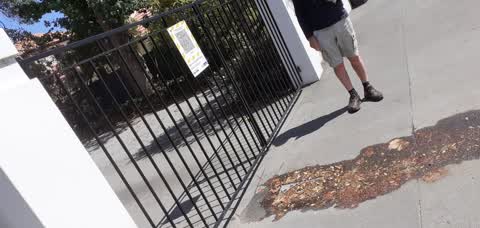 Water Leak, a report photo