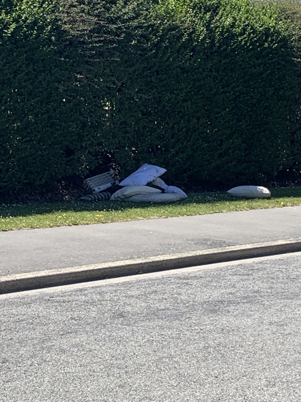 The photograph attached to this rubbish/recycling report