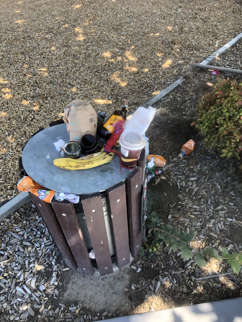 The photograph attached to this parks report