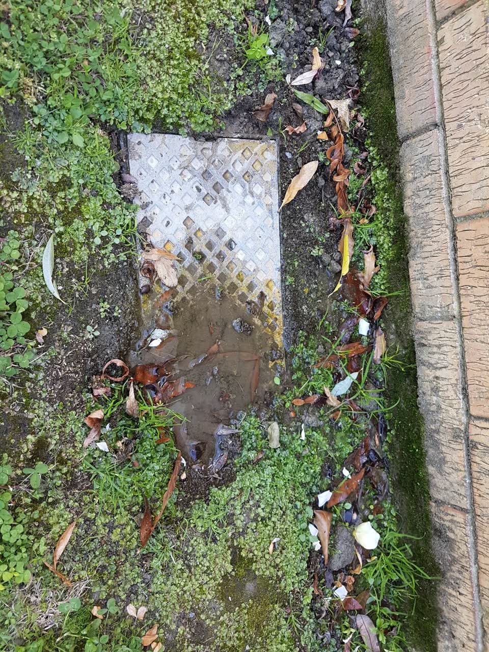 The photograph attached to this water leak report
