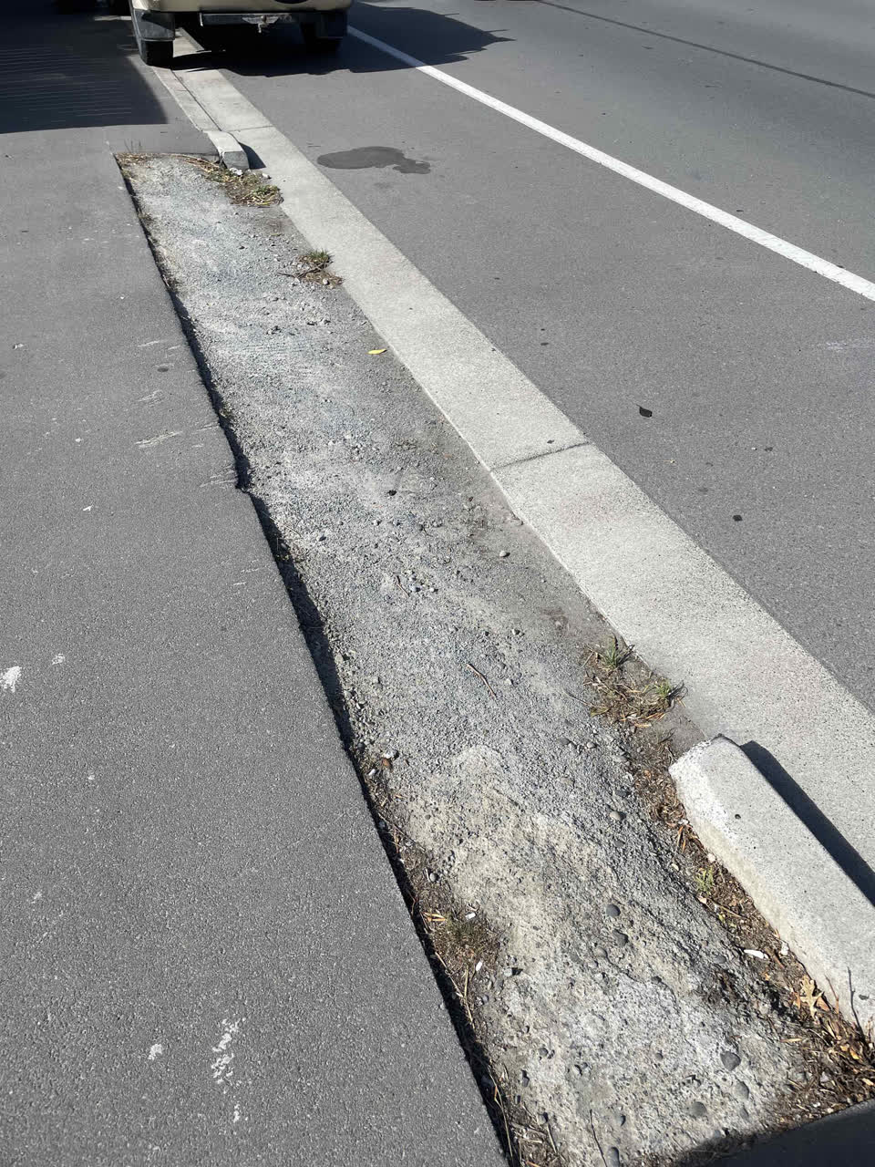 The photograph attached to this street light outage report