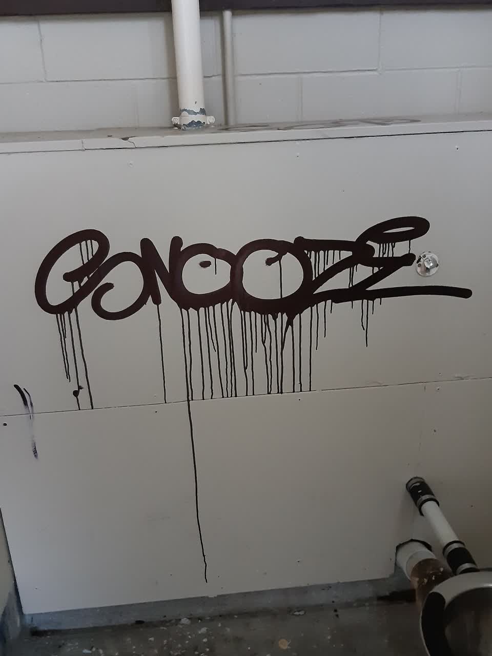 The photograph attached to this graffiti report
