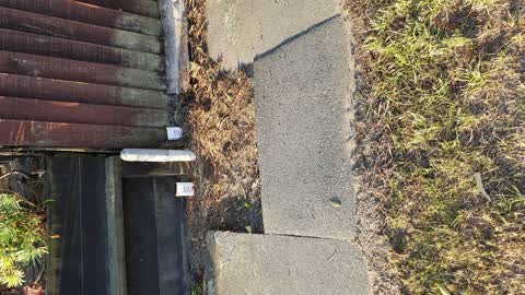 Roading/Streets — a report photo
