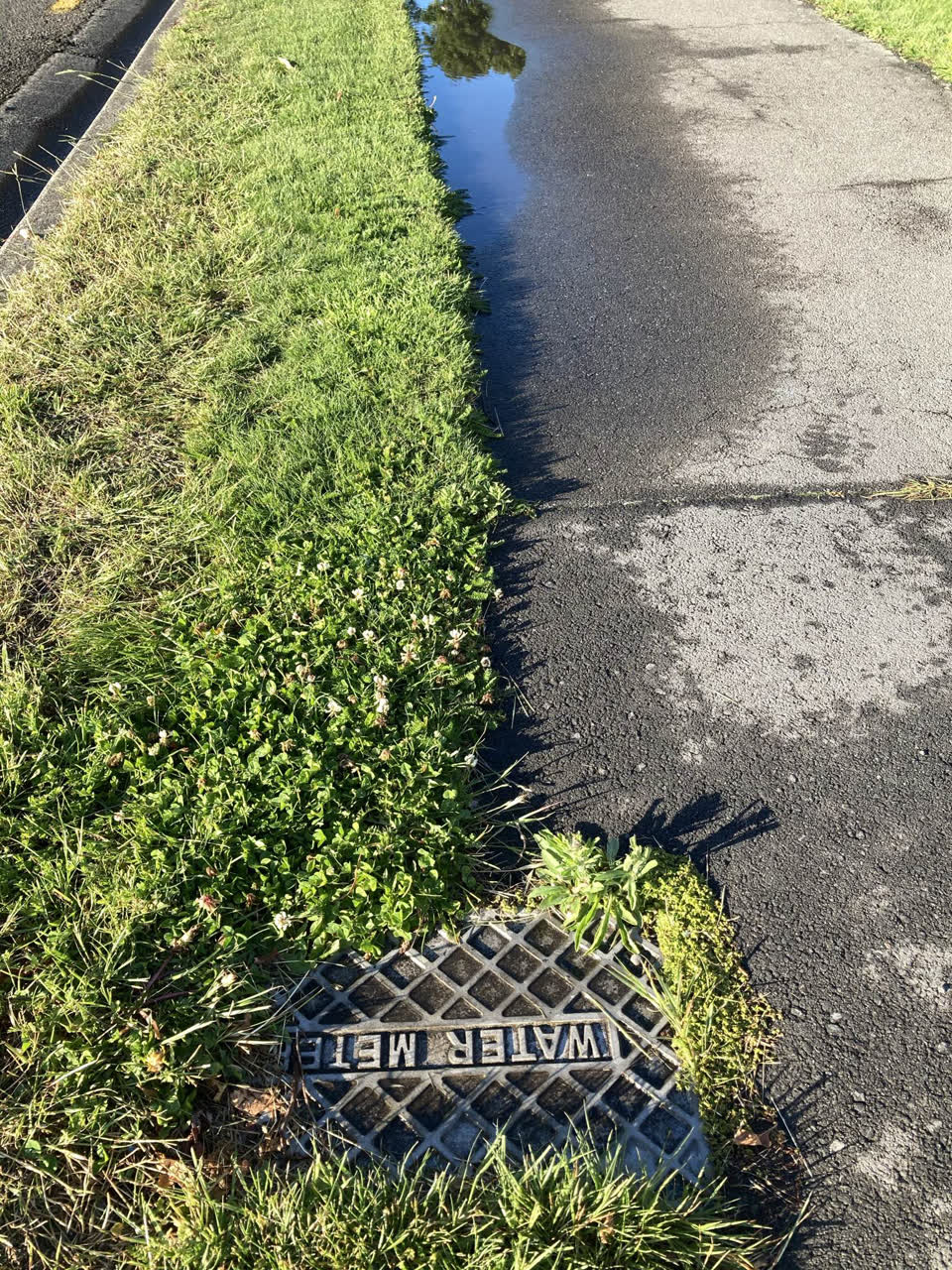 The photograph attached to this water leak report