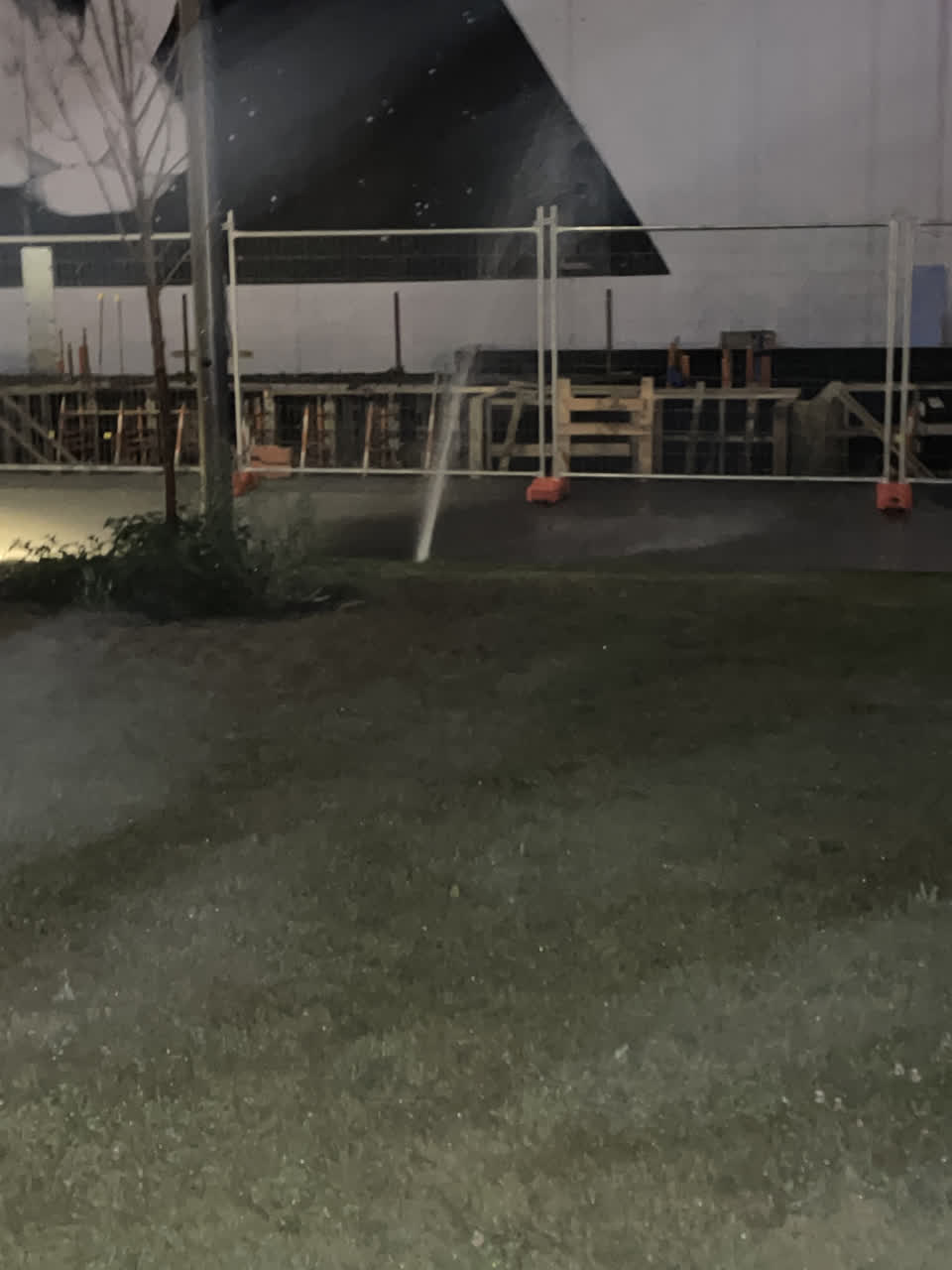 The photograph attached to this parks report