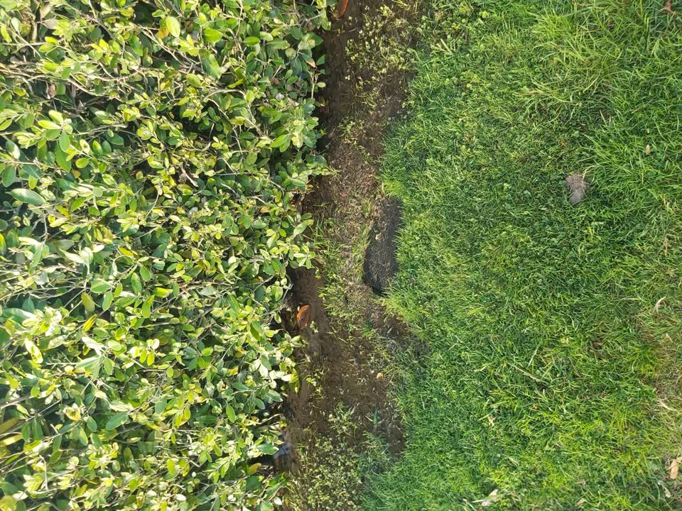 The photograph attached to this water leak report