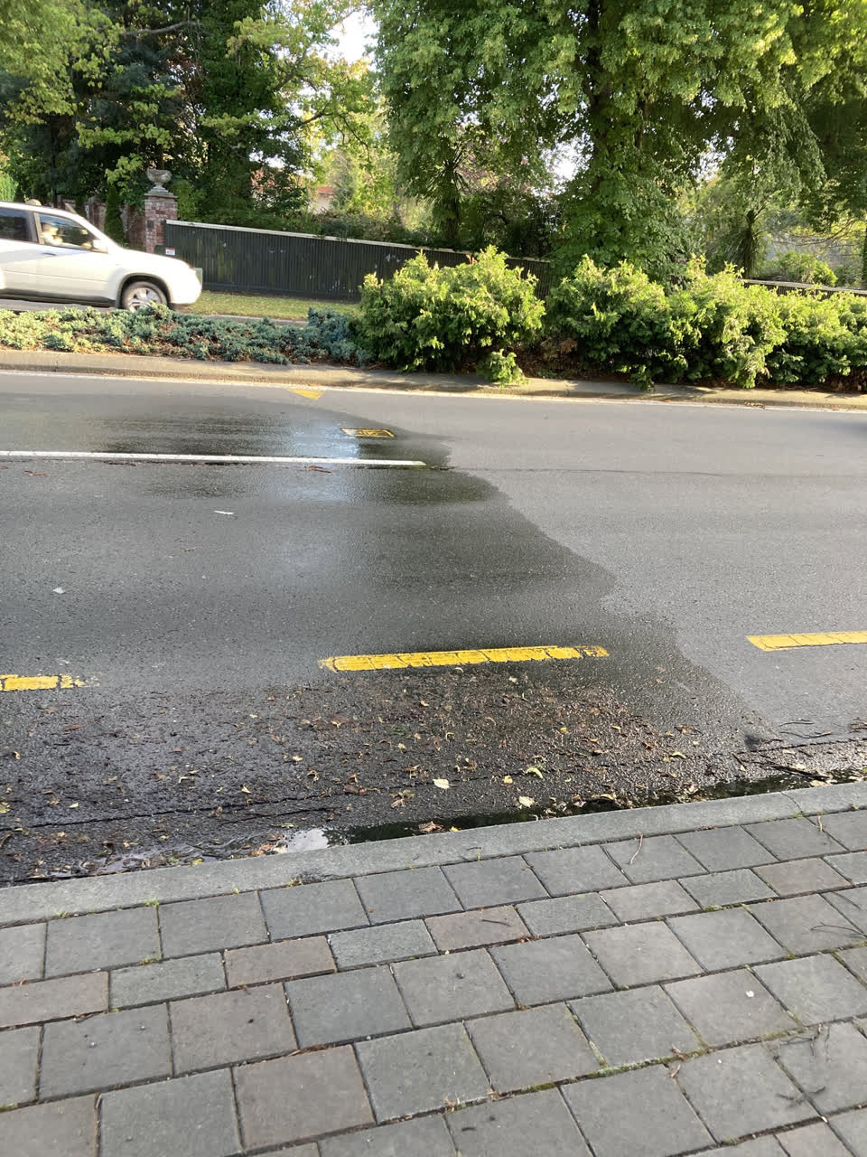 The photograph attached to this water leak report