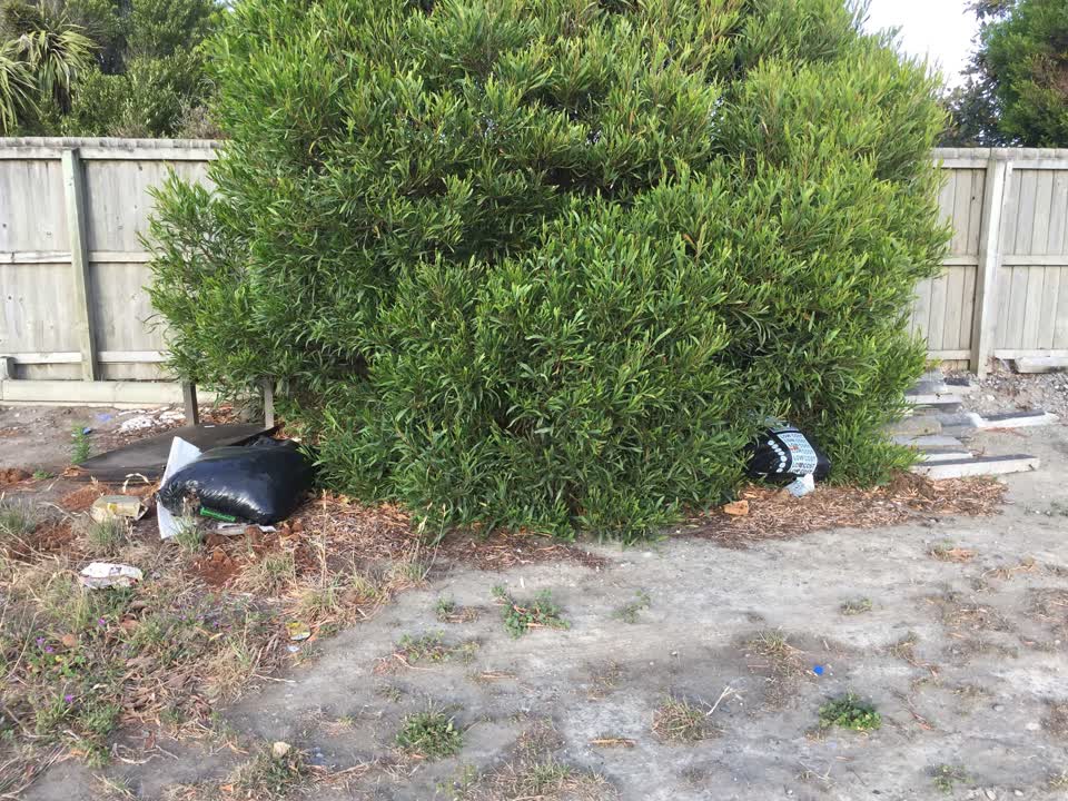 The photograph attached to this rubbish/recycling report