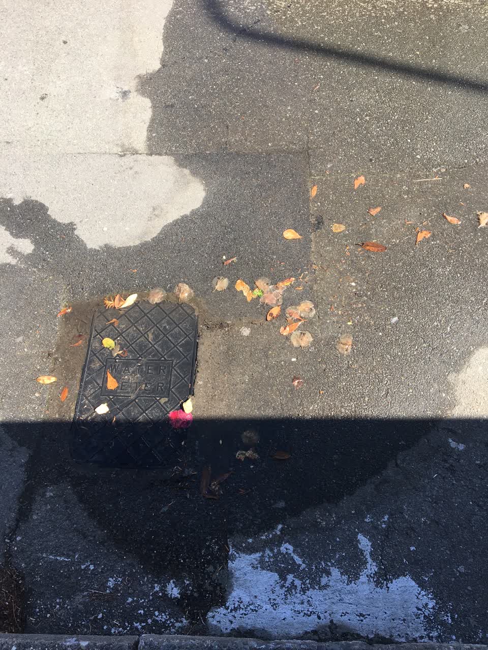 The photograph attached to this water leak report