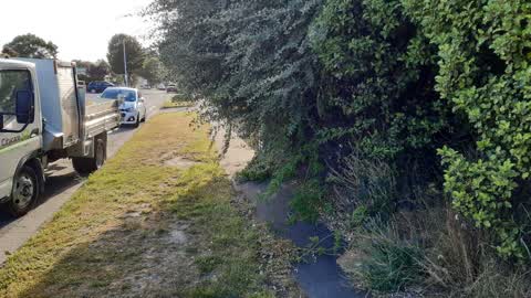 Parks, a report photo