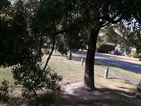 Parks, a report photo