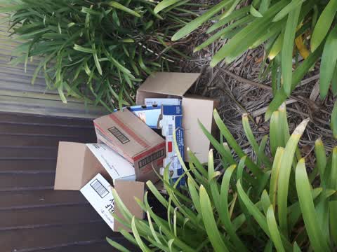 Rubbish/Recycling, a report photo