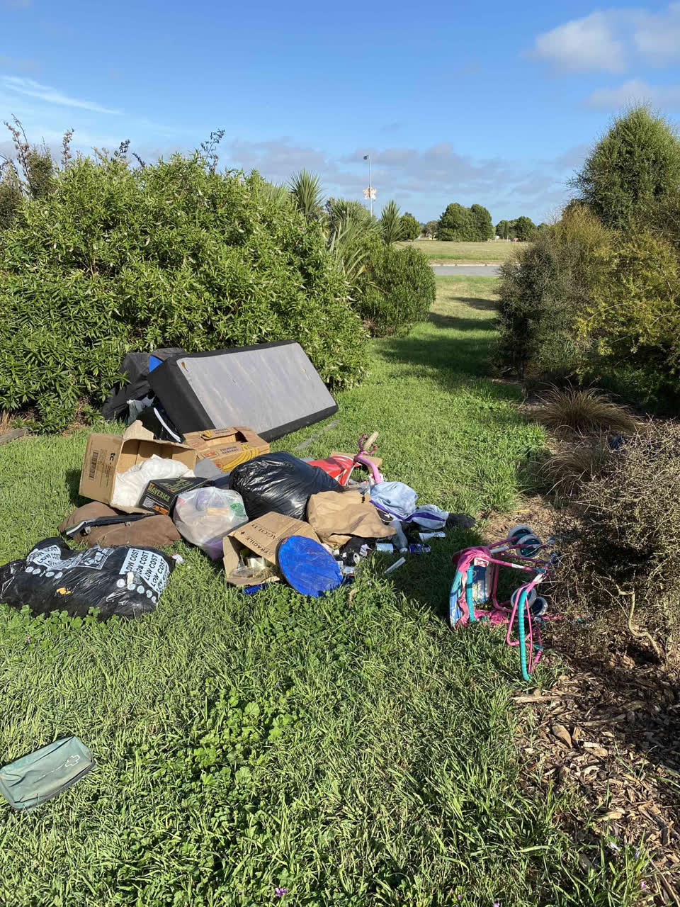 The photograph attached to this rubbish/recycling report
