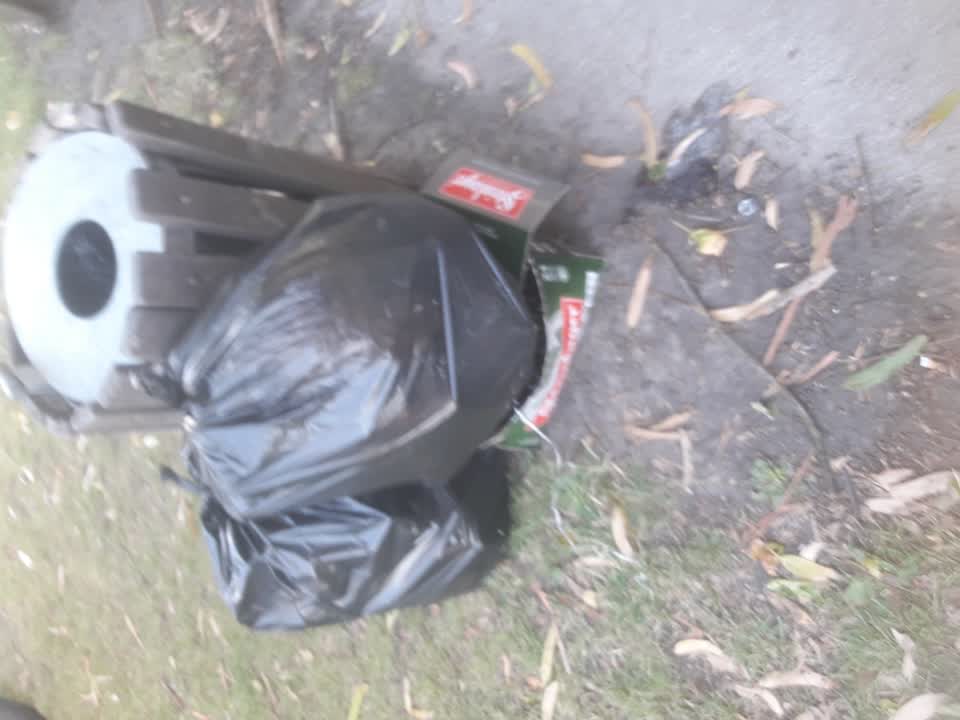 The photograph attached to this parks report