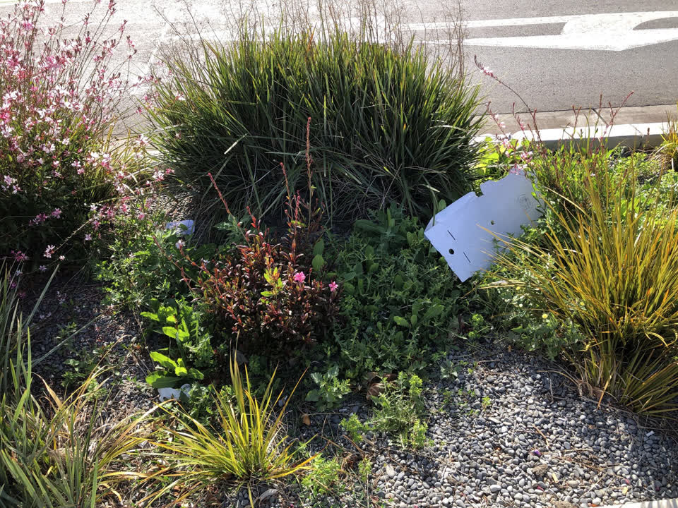 The photograph attached to this rubbish/recycling report