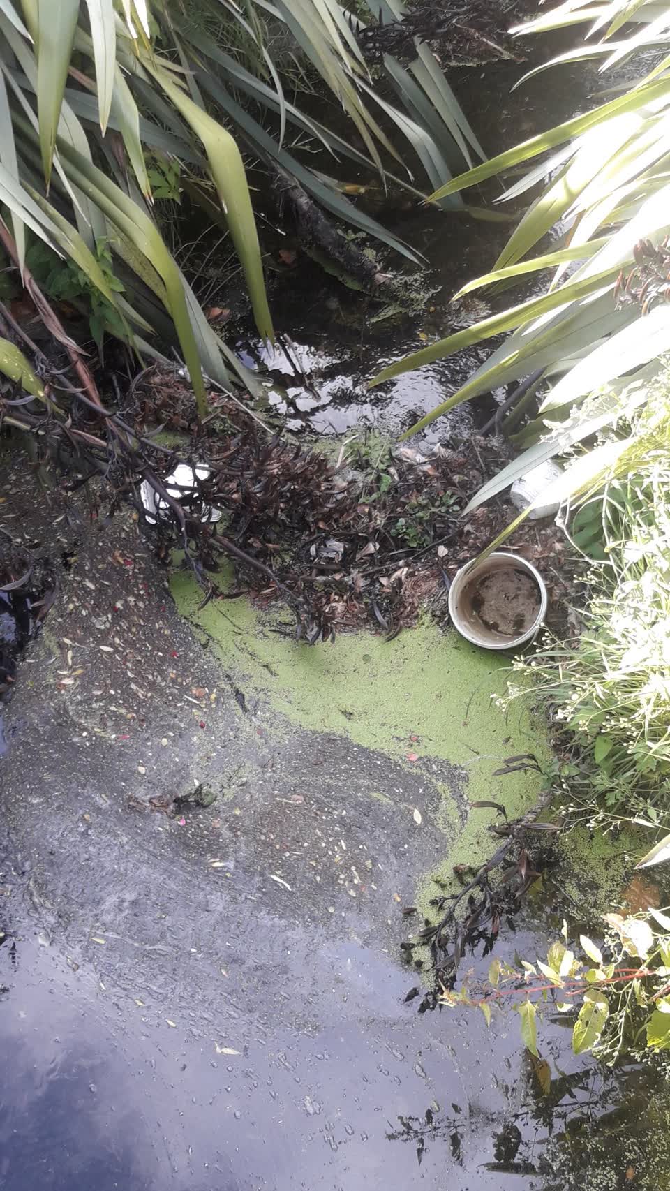 The photograph attached to this general request report
