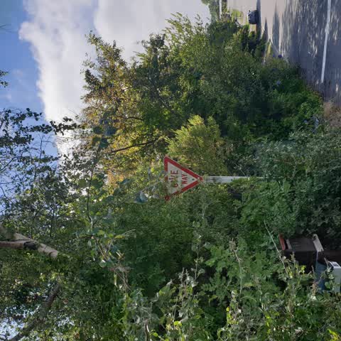 Roading/Streets, a report photo