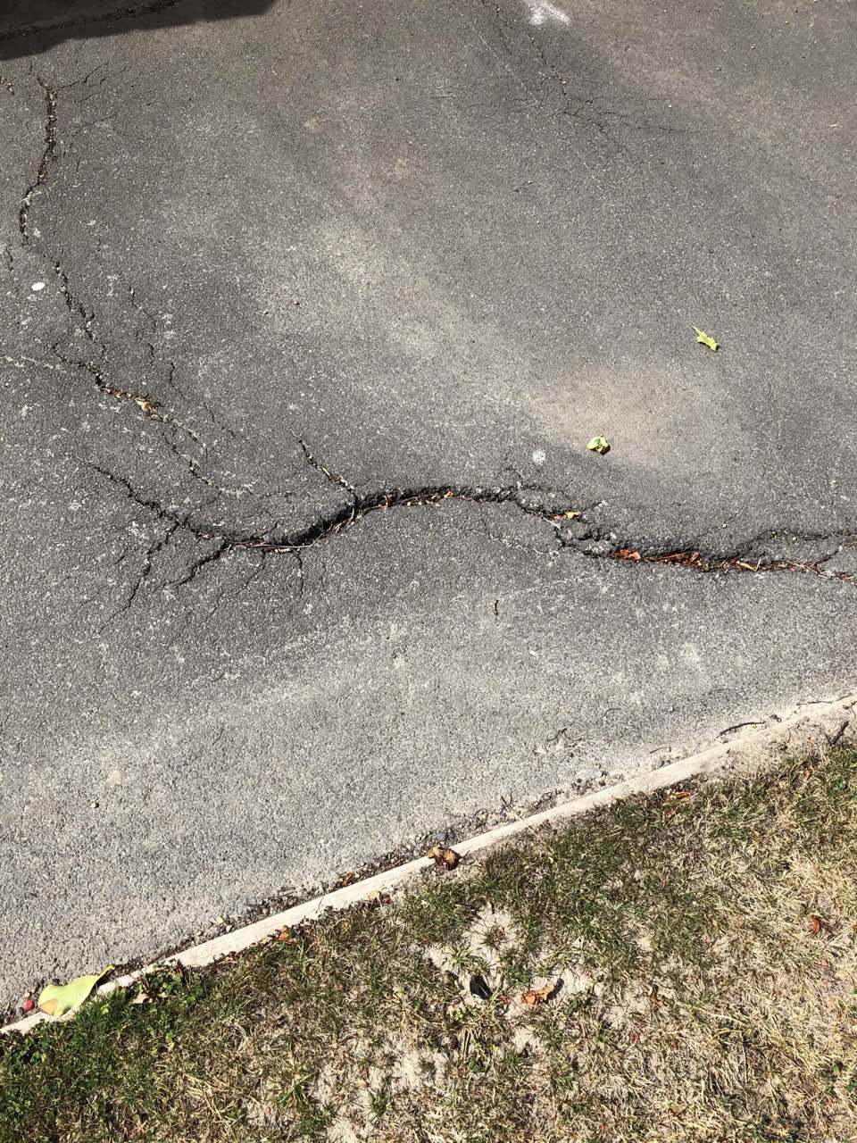The photograph attached to this street light outage report