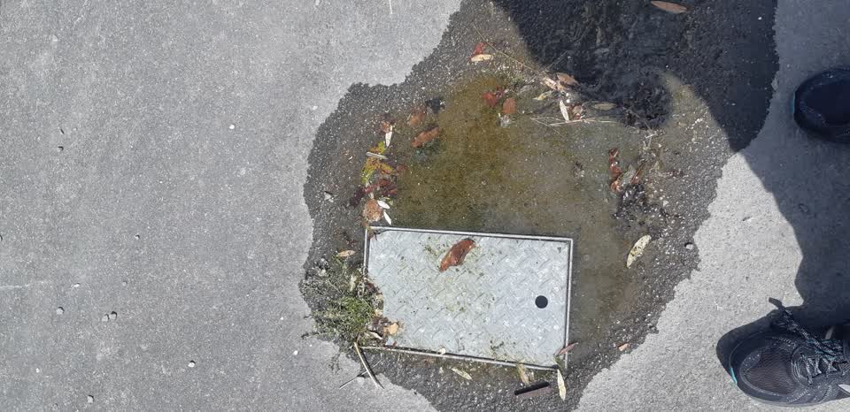 The photograph attached to this water leak report