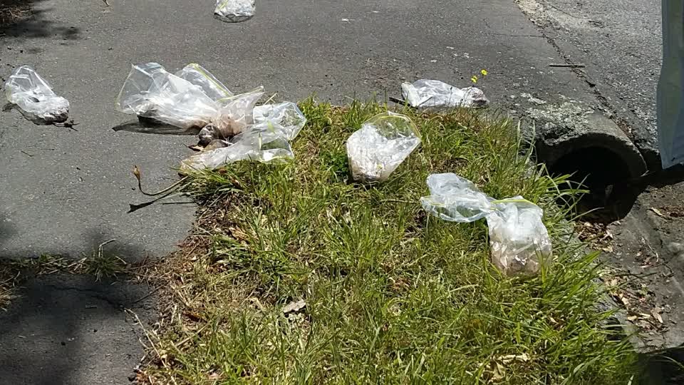The photograph attached to this rubbish/recycling report