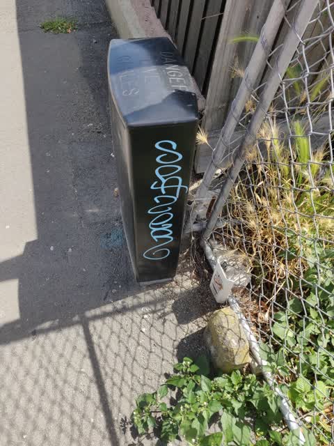 Graffiti, a report photo
