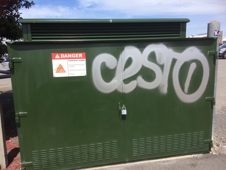 The photograph attached to this graffiti report