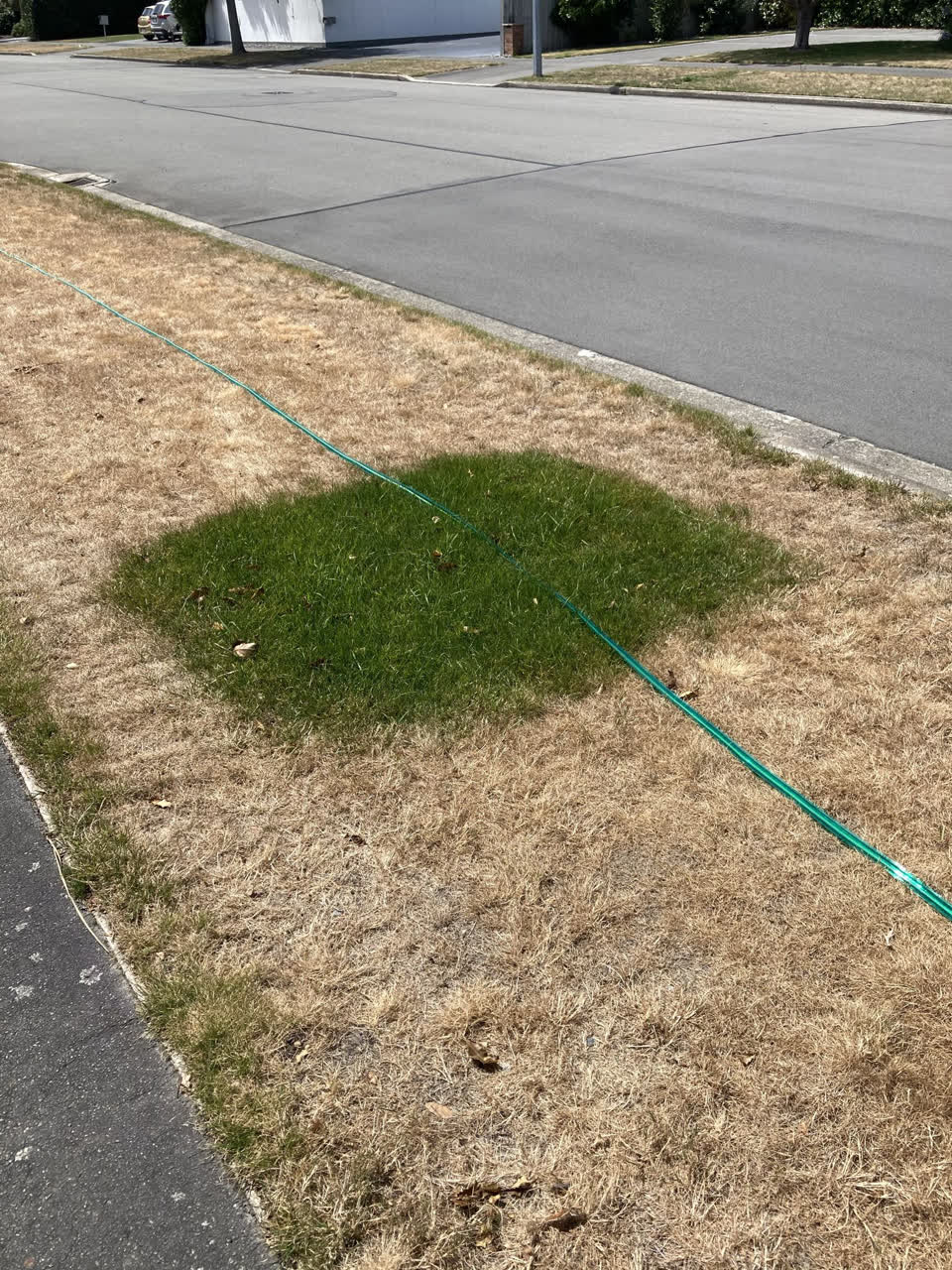 The photograph attached to this sewer - leak / blockage report