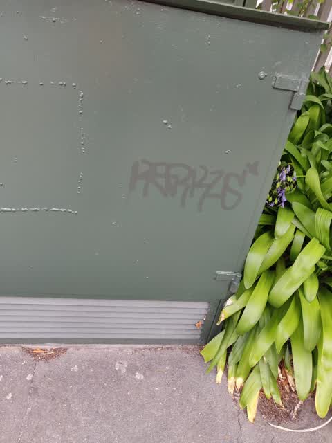 Graffiti — a report photo