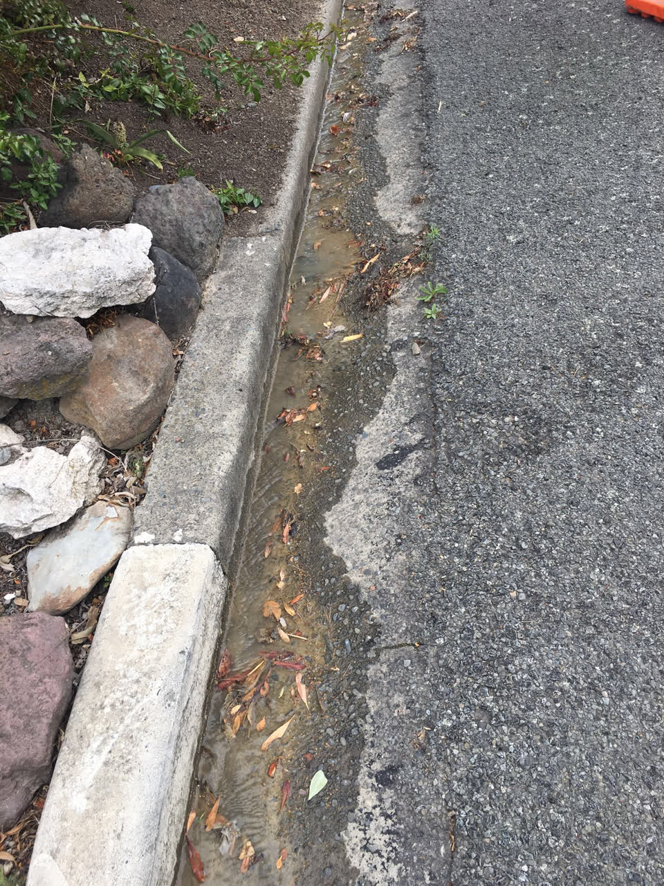 The photograph attached to this water leak report