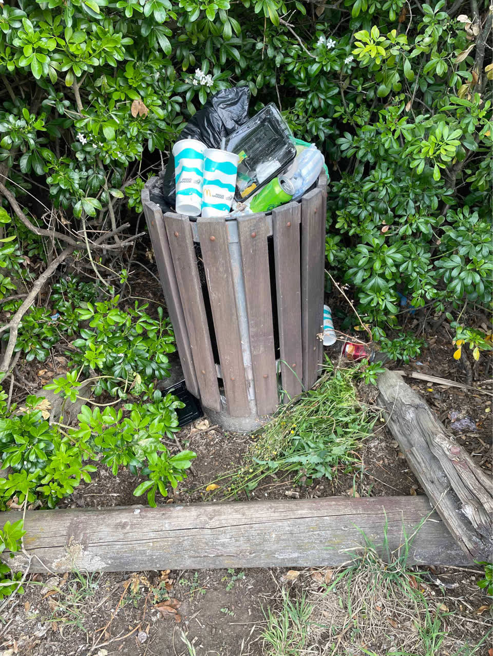 The photograph attached to this rubbish/recycling report
