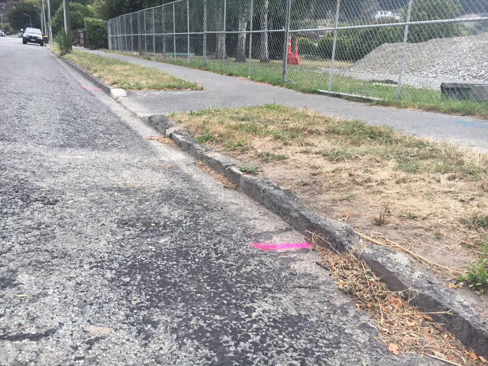 The photograph attached to this roading/streets report