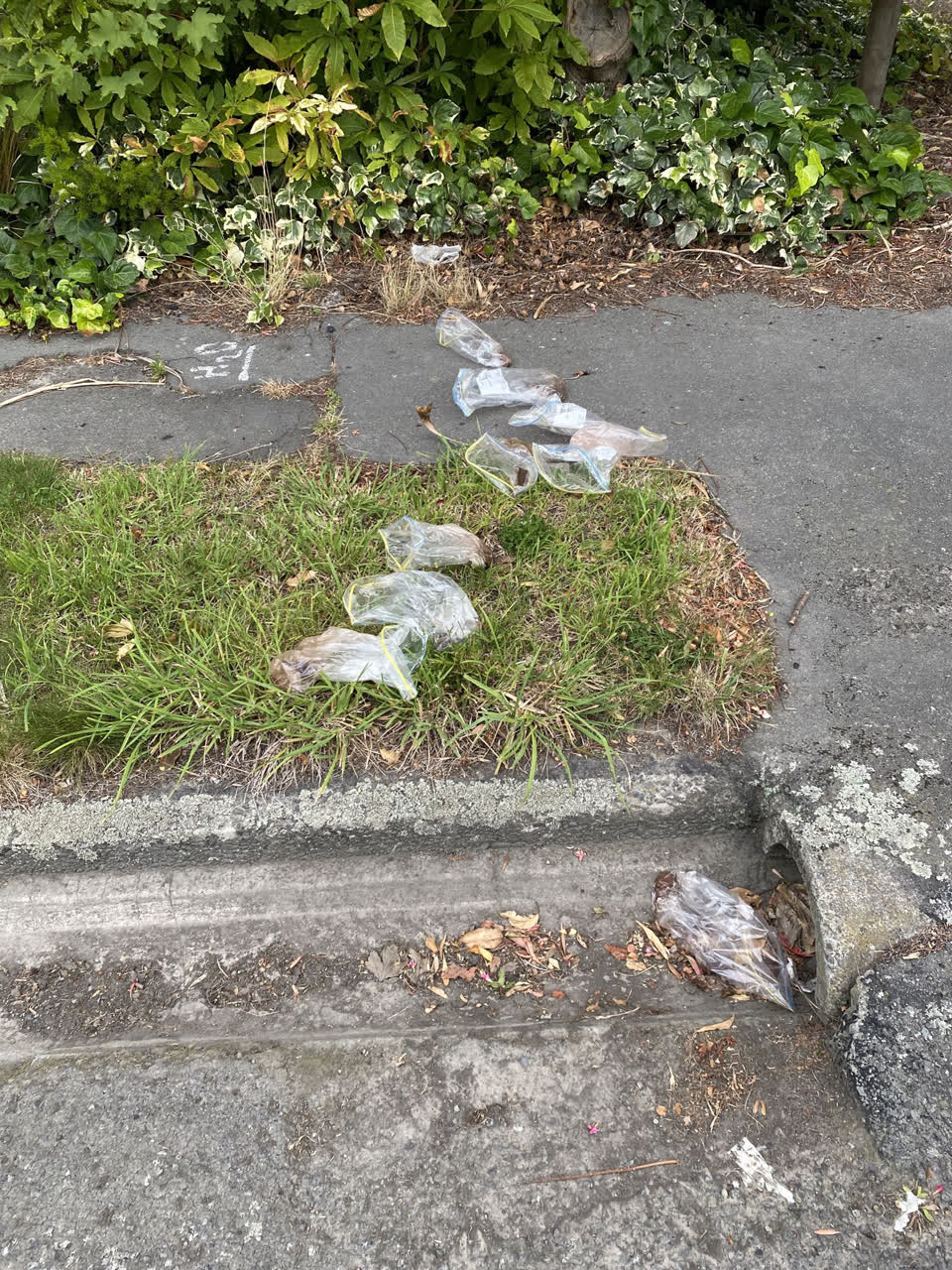 The photograph attached to this rubbish/recycling report