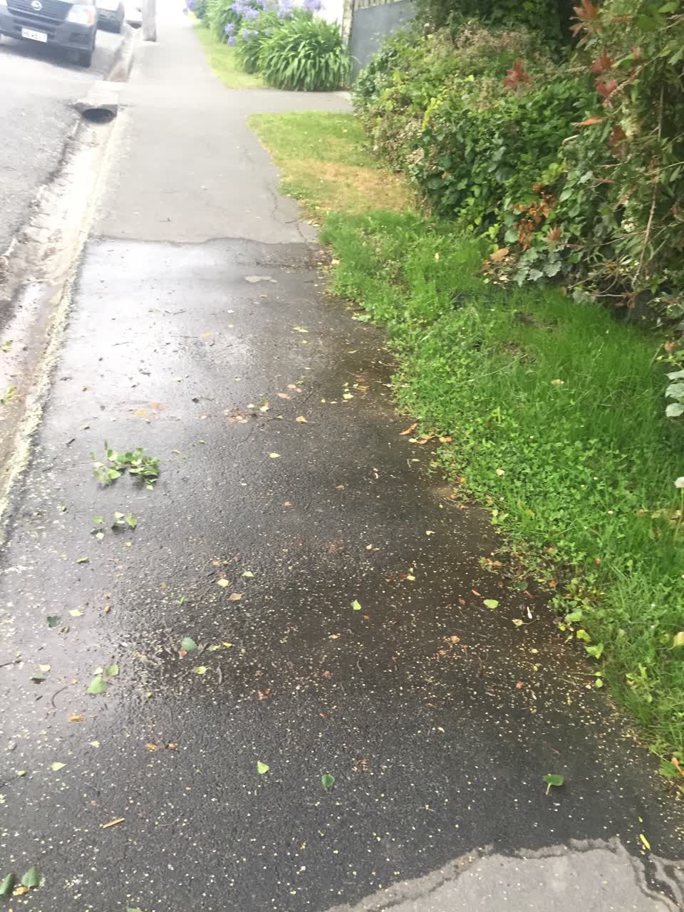 The photograph attached to this water leak report