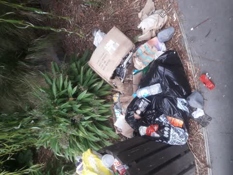 Parks, a report photo
